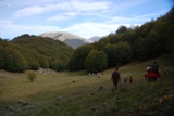 Clicca qui per vedere l'immagine in dettaglio
